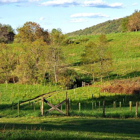 Вілла Walnut Run Farm Woodville Екстер'єр фото