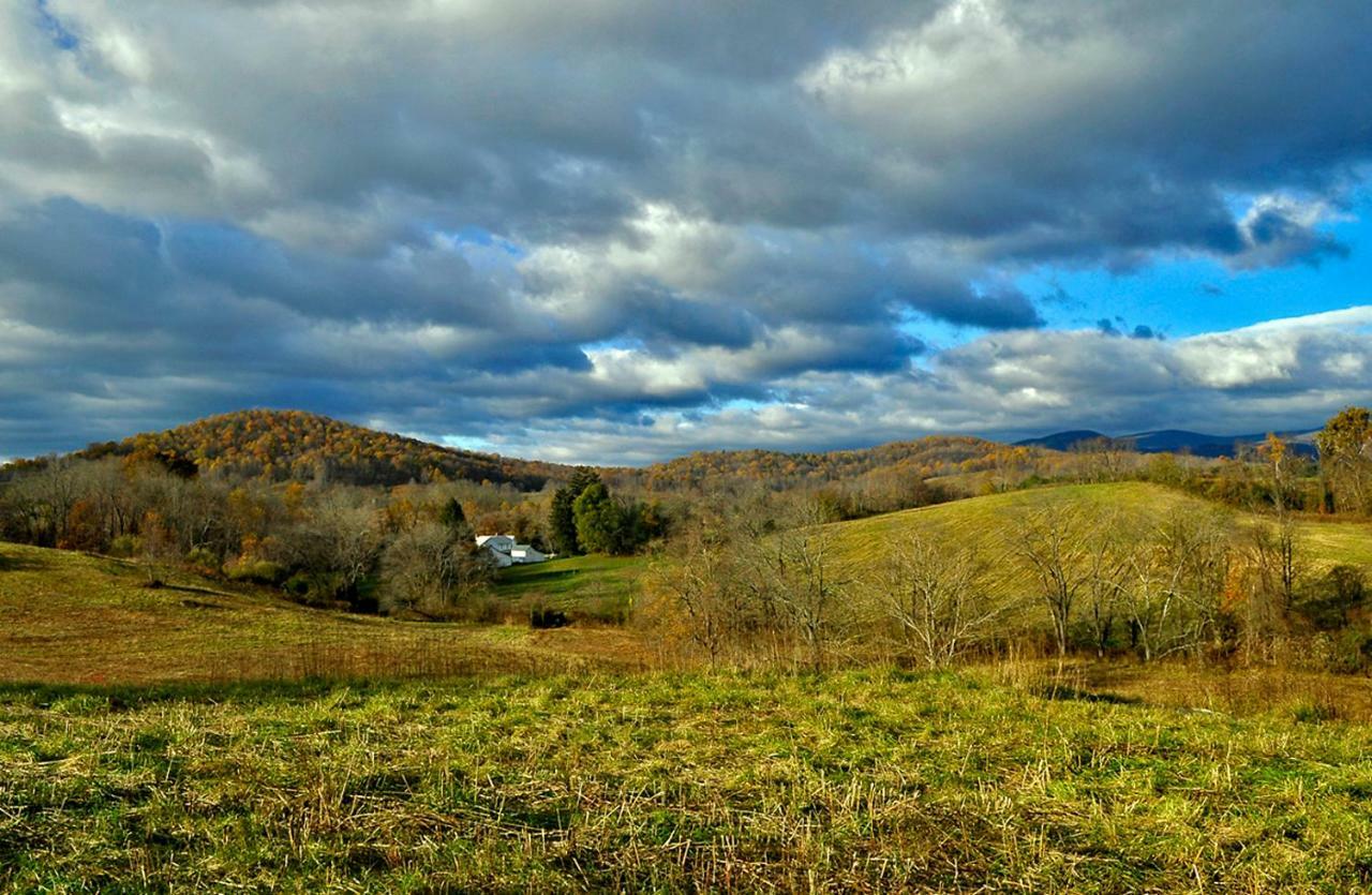 Вілла Walnut Run Farm Woodville Екстер'єр фото