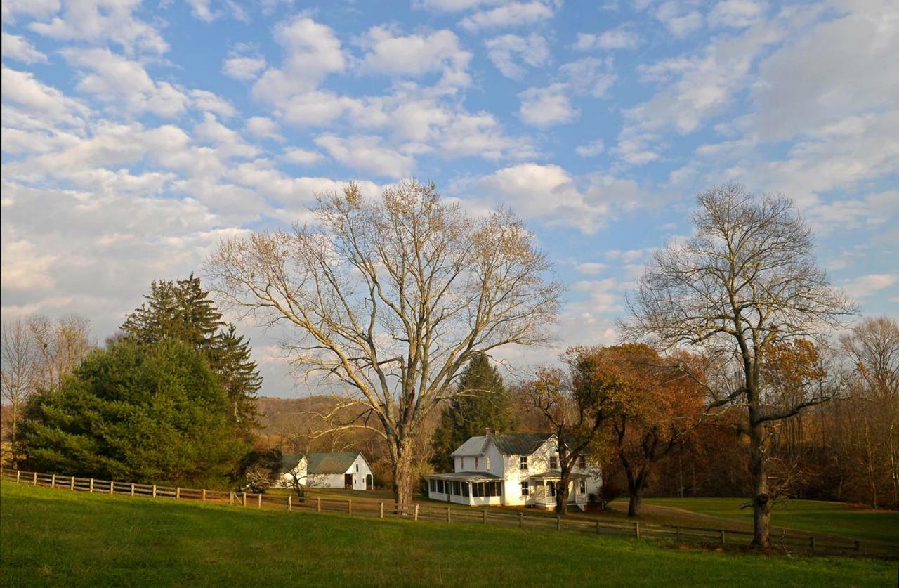 Вілла Walnut Run Farm Woodville Екстер'єр фото